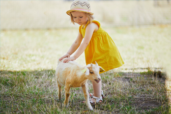 PETTING ZOO