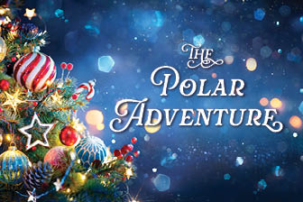 THE POLAR ADVENTURE 